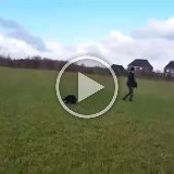 video-1457086581 (1)
